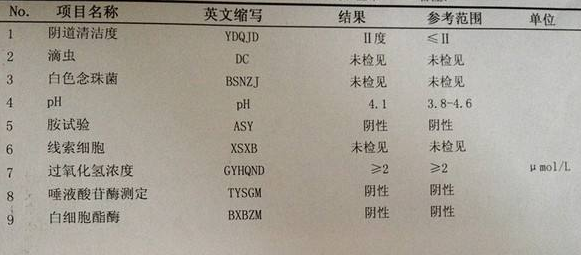 深夜福利视频网站GK-Y全自動陰道分泌物深夜福利影院廠家科普“白帶常規”查看報告！
