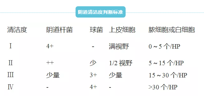 全自動婦科白帶免费深夜福利APP廠家深夜福利视频网站提示滴蟲和真菌一起呈現的白帶常規結果！