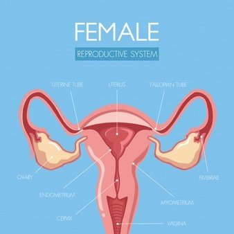 陰道分泌物深夜福利影院提醒女人婚後得了婦科病做到這5點，發炎不來擾
