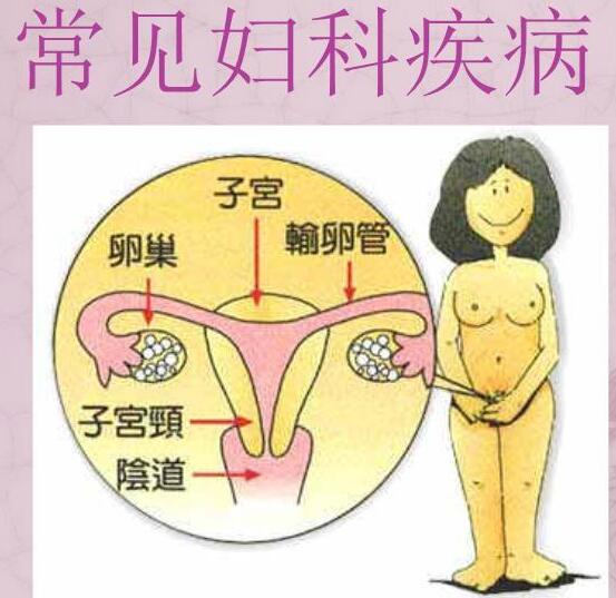 醫院全自動白帶免费深夜福利APP檢測女人婦科3種症狀，謹防子宮長瘤！