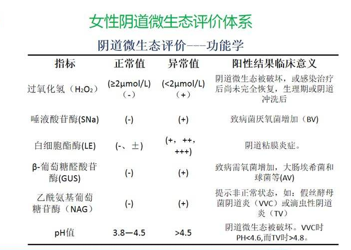 婦科微生態深夜福利影院器